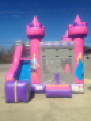 4n1 Princess combo