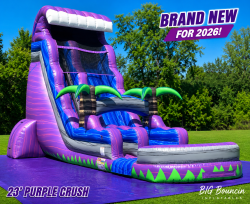 23 ft purple crush with pool